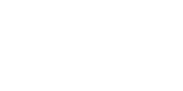 에볼루션 게이밍 logo